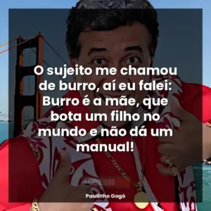 O sujeito me chamou de burro, aí eu falei: Burro é a mãe, que bota um filho no mundo e não dá um manual!