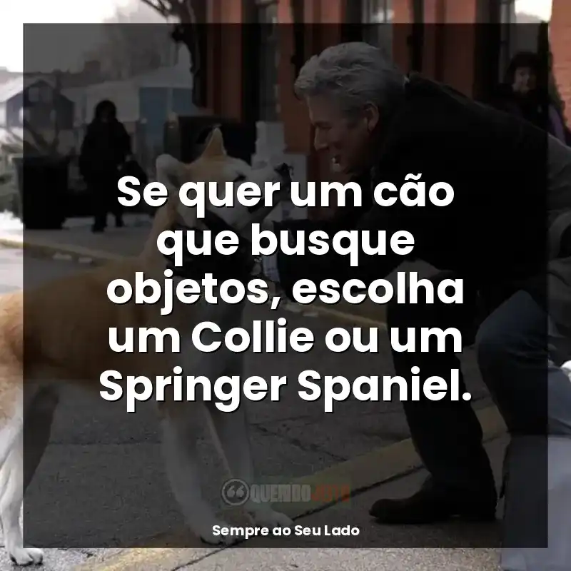 Frase final do filme Sempre ao Seu Lado: Se quer um cão que busque objetos, escolha um Collie ou um Springer Spaniel.