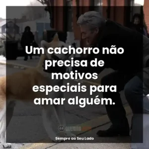 Um cachorro não precisa de motivos especiais para amar alguém.