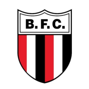 Botafogo Futebol Clube (Ribeirão Preto): História, Tradição e Ídolos do Pantera