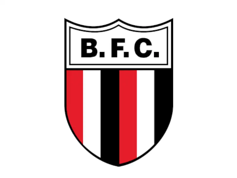 Botafogo Futebol Clube (Ribeirão Preto)