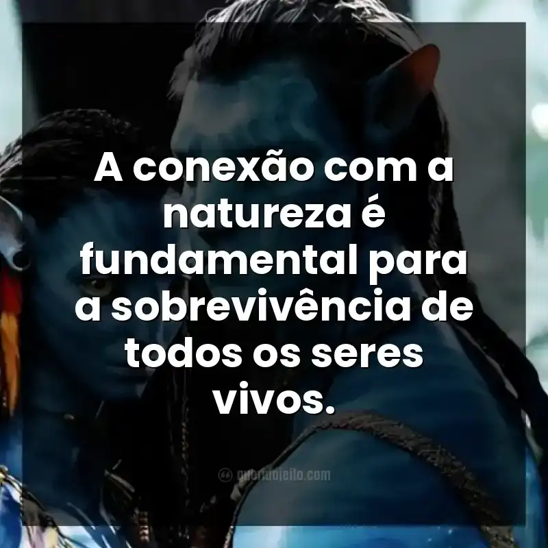 Frases do filme Avatar: A conexão com a natureza é fundamental para a sobrevivência de todos os seres vivos.