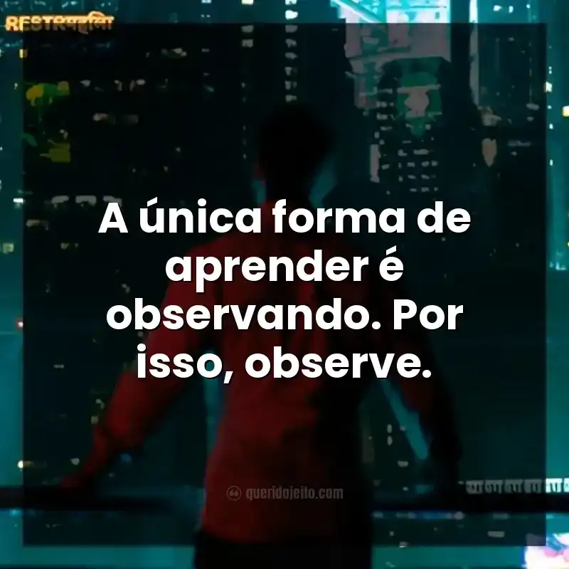 A única forma de aprender é observando. Por isso, observe.