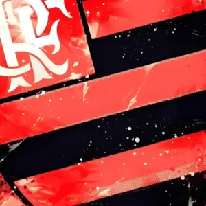 Frases do Flamengo
