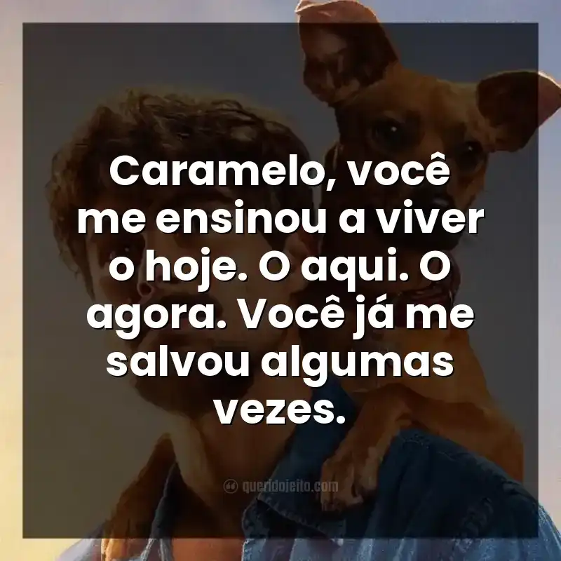 Caramelo, você me ensinou a viver o hoje. O aqui. O agora. Você já me salvou algumas vezes.