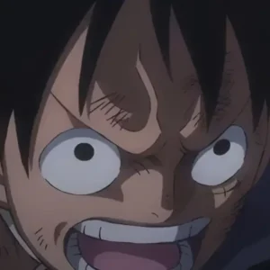 Frases do anime One Piece