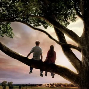 Frases do filme O Primeiro Amor