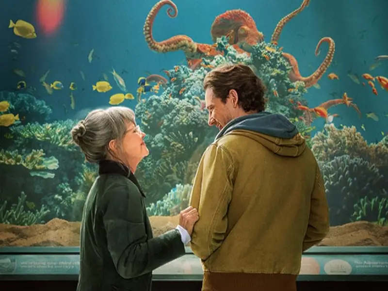 Frases do filme Criaturas Extraordinariamente Brilhantes