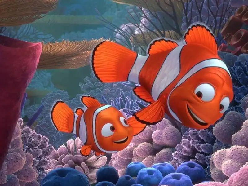 Frases do filme Procurando Nemo
