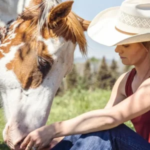 Frases da série Heartland