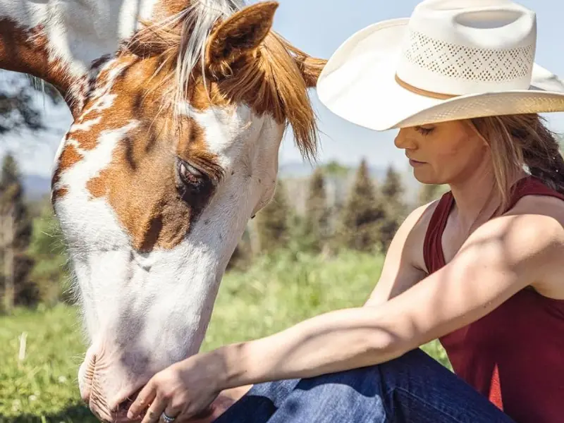 Frases da série Heartland