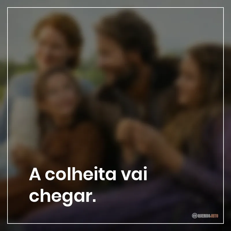 A colheita vai chegar.