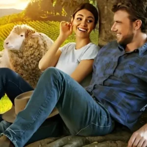Frases do filme Combinação Perfeita
