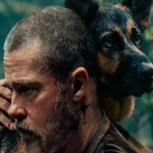 Frases do filme Coração Selvagem